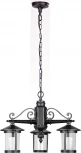 Уличный светильник подвесной Oasis Light CORDOBA 18270/3 Bl