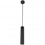 Подвесной светильник Arte Lamp Lira A5600SP-1BK