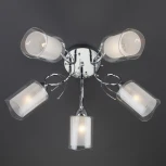 Потолочная люстра Eurosvet Renee 30122/5 хром