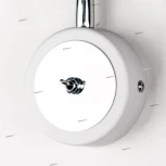 Спот Citilux Данди CL557311