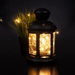 Гирлянда Eurosvet 400-007 теплый белый