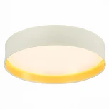 Потолочный светильник Brescia SLE300552-01 Evoluce