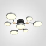 Потолочная люстра с пультом на штанге LED Lu Carte LC-11-1717