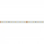 Светодиодная лента RT-A60-8mm 24V Warm3000 (7.2 W/m, IP20, 2835, 5m) (Arlight, Открытый) 020014(2)