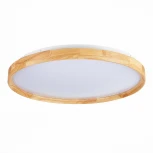 Потолочный светильник Evoluce Delia SLE201382-01