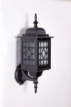 Настенный фонарь уличный Oasis Light 64801S Bl