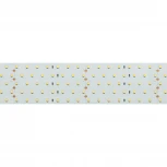Светодиодная лента RT 2-2500 24V Cool 8K 5x2 (2835, 875 LED, LUX) (Arlight, 36 Вт/м, IP20) 019083(1)