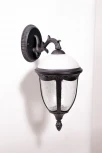 Уличный настенный фонарь Oasis Light St.LOUIS L 89102L/15 Bl мат/тр