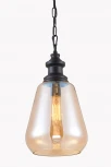 Подвесной светильник Fametto Vintage DLC-V405 E27 BLACK