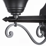 Настенный фонарь уличный Arte Lamp Monaco A1491AL-1BK