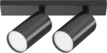 Потолочный светильник FOCUS S GU10 2x10Вт Maytoni Technical C051CL-U-2B (220V, круглые)
