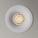 Точечный встраиваемый светильник Arte Lamp Ducre Mini A7095PL-1WH (220V, круглые)