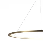 Подвесной светильник Loft IT Ring 10014XXL (LED, 220V, на тросе, кольцо)