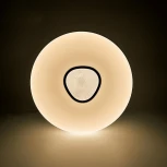 Потолочный светильник круглый Feron Rainbow 41917