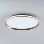 Потолочный светильник светодиодный с пультом с регулировкой цветовой температуры LED4U LED4U L3020-500 GD