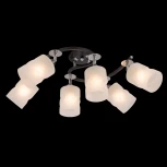 Потолочная люстра Citilux Сиерра CL119261 (220V)