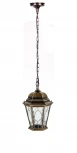 Уличный светильник подвесной Oasis Light ASTORIA 2 91405M Gb овал (220V, на цепи, IP44)