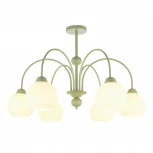 Потолочная люстра на штанге MyFar Flora MR2271-6С (220V)