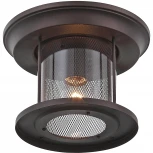 Потолочный светильник уличный ST Luce Lastero SL080.402.01 (220V, IP54)