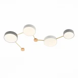 Потолочная люстра Evoluce Dossena SLE600102-04 (LED, 220V)