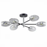 Потолочная люстра Evoluce Gloa SLE155512-06 (220V, шарики)