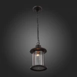 Уличный светильник подвесной ST Luce Lastero SL080.403.01 (220V, на цепи, IP54)