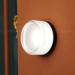 Настенный светильник светодиодный Cloyd Nano 20382 (220V, круглые)