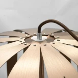 Подвесной светильник Lussole Loft Briosco LSP-9876