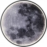 Настенно-потолочный свет Escada Planet 10226/SG LED 43W Mon (для детской, 220V, круглые)