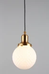 Подвесной светильник Aployt Sofi APL.302.06.01 (220V, на проводе, шар)