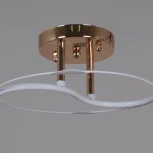 Потолочная люстра на штанге Reluce 06003-0.3-02 FG+WT (220V)