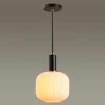 Подвесной светильник Lumion Merlin 4452/1