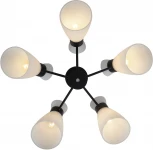 Потолочная люстра на штанге Reluce 01416-0.3-05 BK+CR