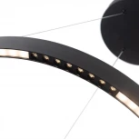 Подвесной светильник Arte Lamp Lao A2189LM-1BK (LED, 220V, на тросе, кольцо)