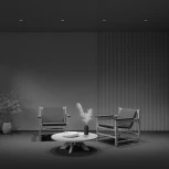 Встраиваемый светильник Maytoni Intro DL110-GU10-W (220V, круглые)