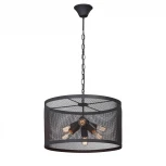 Подвесная люстра Vitaluce V4568-1/6 (220V, на цепи, круглые)