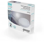 Настенно-потолочный светильник светодиодный Hall 193411208-OAS (220V, IP40)