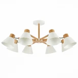 Потолочная люстра Evoluce Buve SLE103702-08