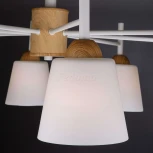 Потолочная люстра Eurosvet Fresco 70085/8 белый (220V)