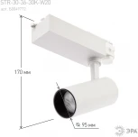 Трековый светильник ЭРА SТR-30-36-30K-W20 (LED, 220V, круглые, IP40)