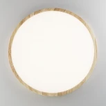 Настенно-потолочный светильник Citilux Бейсик CL738322V (регулировка яркости, LED, 220V, круглые, IP40)