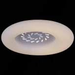 Потолочный светильник круглый светодиодный с пультом Reluce 09048-0.3-115W WT (регулировка яркости, 220V, круглые)