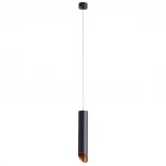 Подвесной светильник Arte Lamp Pilon-gold A1536SP-1BK (220V, на проводе, круглые)