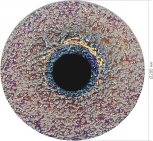 Подвесной светильник ST Luce Alumno SL6142.423.01 черный/радужный LED 1*8W 4000K (220V, на тросе, круглые)