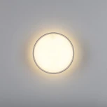 Накладной потолочный светильник Lightstar Acuto 215936 (LED, 220V, круглые)