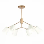 Потолочная люстра на штанге Evoluce Mario SLE155902-06 (220V)