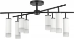 Люстра потолочная на штанге Rullo LR7283648641 (571728+214436-4+214486-4+202431-8) Lightstar (220V)