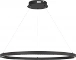 Подвесной светильник ST Luce SL6238 SL6238.443.01 черный/черный LED 1*43W 4000K (220V, на тросе)