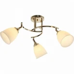 Потолочная люстра на штанге Мелодия Света SS1N 000030806