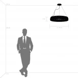 Подвесной светильник Lightstar Nibbler 812236 (220V, на тросе, цветы)